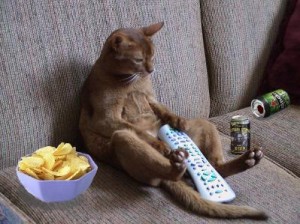 couch_potato