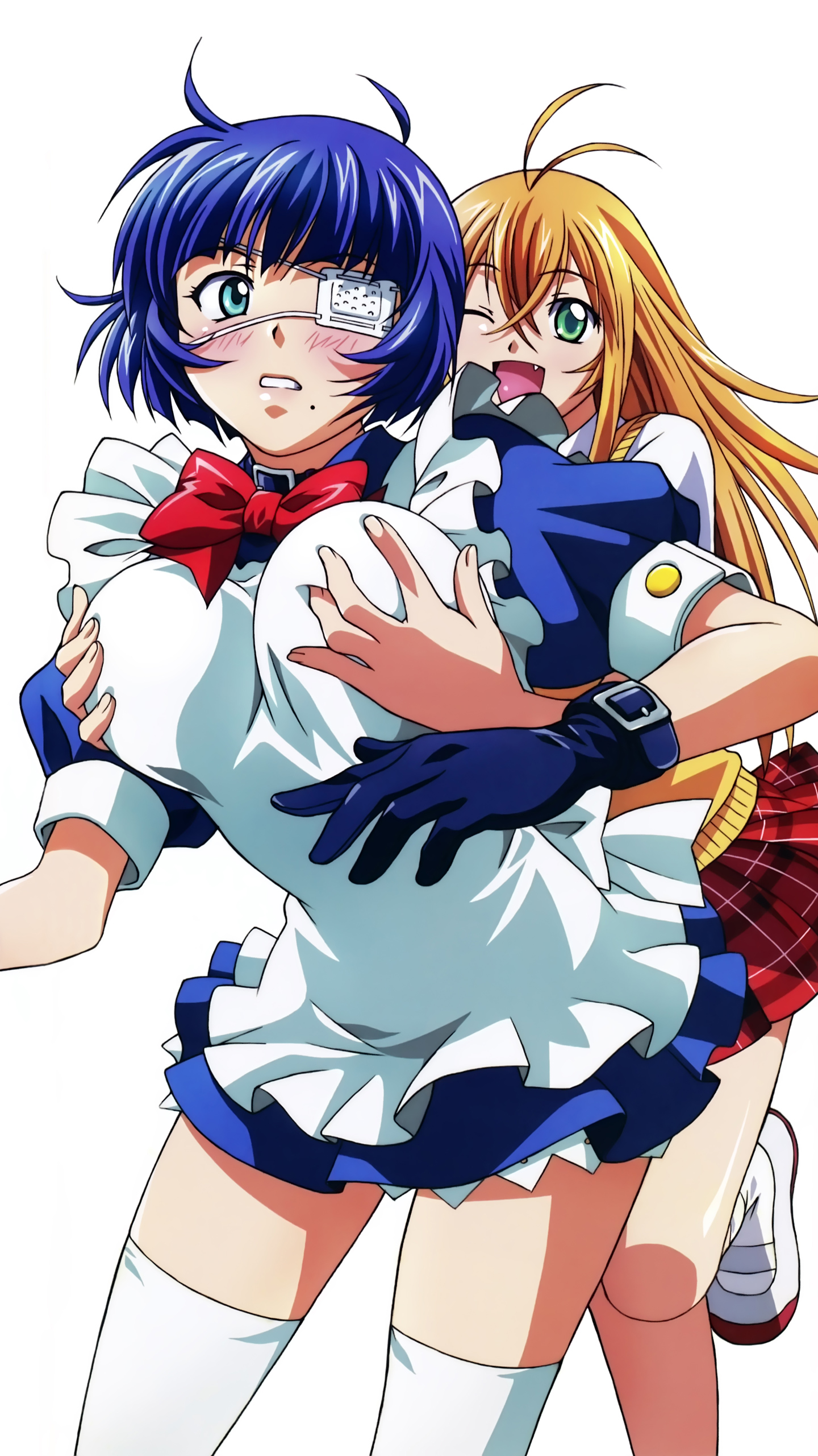 Ikki Tousen.